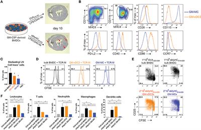 Myocarditis Elicits Dendritic Cell and Monocyte Infiltration in the Heart and Self-Antigen Presentation by Conventional Type 2 Dendritic Cells